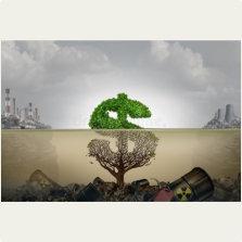 Environmental Impact cost 