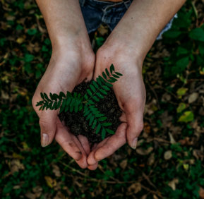 Sustainability